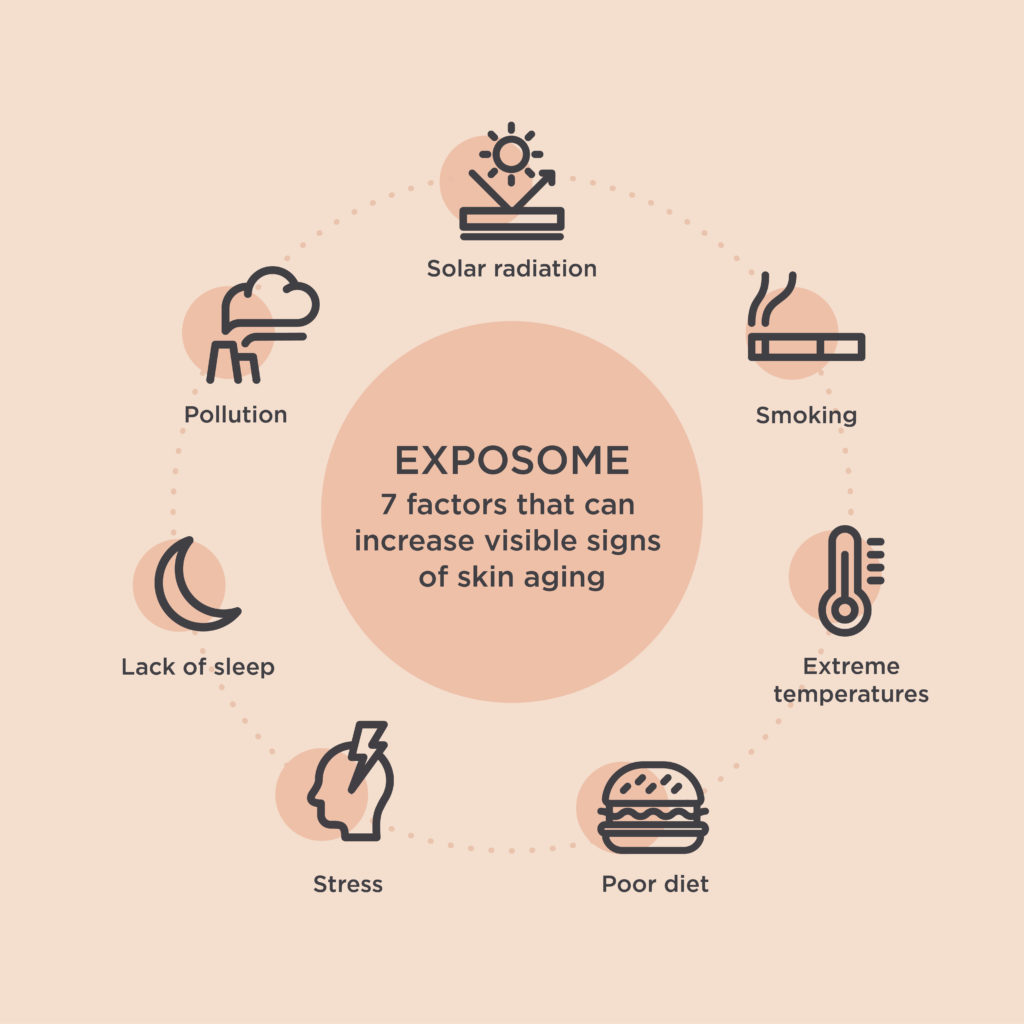 factors of the skin exposome