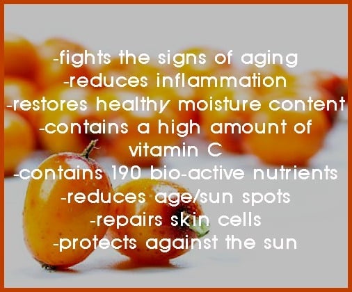 sea buckthorn skin benefits